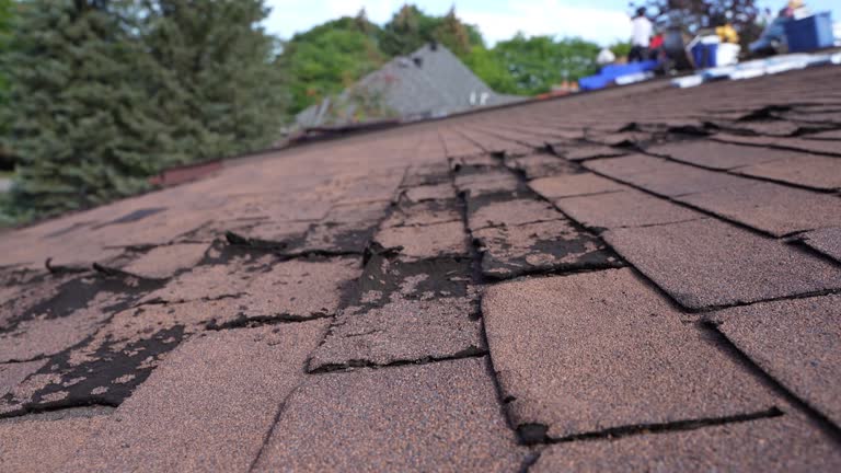 Best Storm Damage Roof Repair  in West Chicago, IL